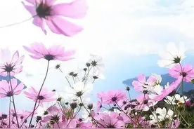 女兵浴：七十年代，西藏女兵的洗澡问题图片