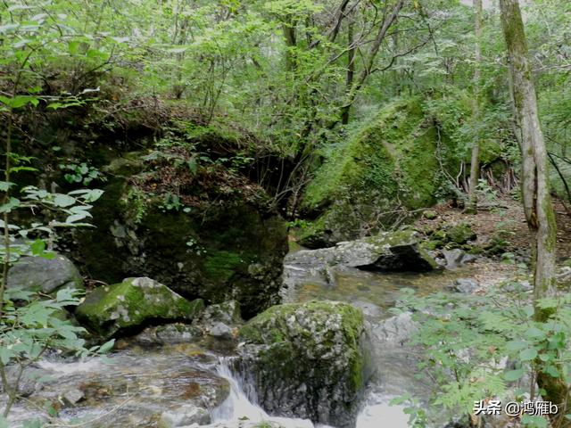 重走抗联路——本溪关门山森林公园鸣翠谷景区抗联秘营