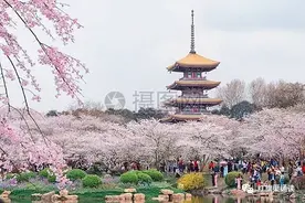 《春》作者：朱自清 朗诵：启航图片