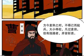【漫画民法典·三国⑤】曹孟德割发以代首，私有财产不可侵犯图片