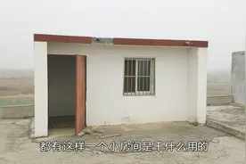 河南南阳：农村楼房顶上的小房间是干啥用的？小伙子说的挺有道理视频封面