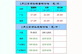 2月22日狮头鹅苗价格图片