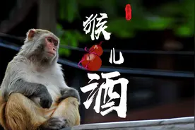 酒的进化史：“猴儿酒”是源头，古酒的8道工序，并不比现代简单图片