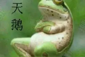 老话“不怕癞蛤蟆进家，就怕 3树立门头”，啥意思？图片