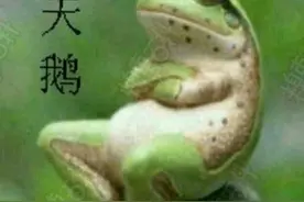 老话“不怕癞蛤蟆进家，就怕 3树立门头”，啥意思？图片