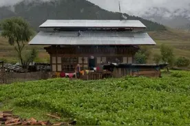 当年躲进深山隐居10年，花光350万积蓄的北大夫妻，现在过得怎样图片
