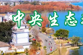 群众举报投诉生态环境问题公开：共12件，涉及2个县（市）图片