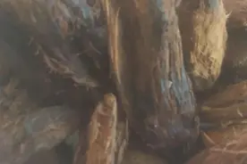 长期吃槟榔会有什么危害？图片