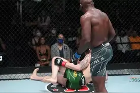 昨天，又一杀招惊现UFC！对手伤势严重被呼吁禁止使用图片