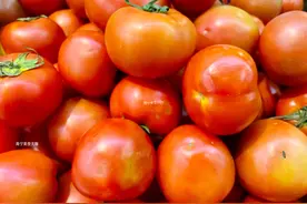 怎么知道西红柿打了激素？老菜农：掌握4个方法，就不用再担心了图片