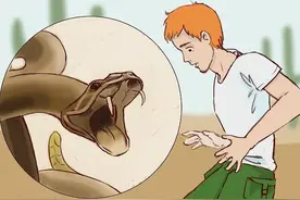 “台风过，群蛇动”！怎样防范逃难的毒蛇？浙江已有人中招图片