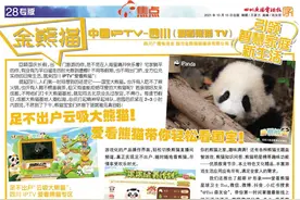 足不出户云吸大熊猫图片