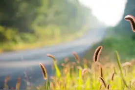 人啊，请认识你自己图片