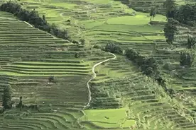 探访“蘑菇房”里的传承人，倾听传唱千年的哈尼哈巴图片