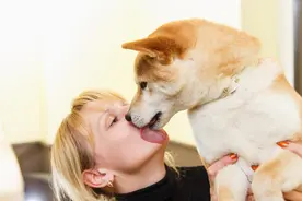 宠物是不是牲畜？主人被隔离，所养宠物如何管理？图片