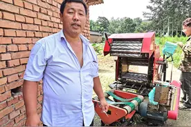 山村农民父子俩：种40亩草养80只奶羊，年入10万成“网红”图片