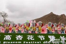 2021阳高杏花节暨长城文化旅游季系列活动开幕图片