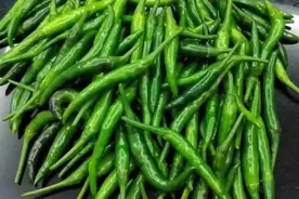 低成本自制7种环保养花种菜杀虫剂图片