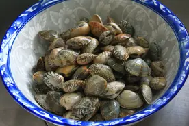 花甲吐沙，别只会放盐和油，加一瓶盖它，5分钟就能吐沙，还不腥图片