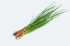 种植香葱正当时，掌握正确施肥方法，避开错误，提高产量并不难图片