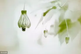 情人相遇从来都不是偶然图片