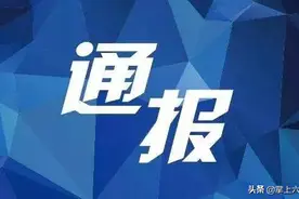 六安市人民政府办公室通报图片