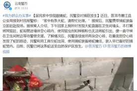 云南眼镜蛇躲进墙里！这种墙体可能有蛇窝，3个办法发现墙内有蛇图片