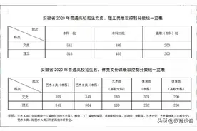 安徽高考分数线及高考成绩出炉，这两所高中喜提状元图片
