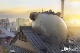 小米在日本“翻车”，为何在国内成为大热点？图片