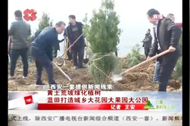 蓝田县打造生态圈，复绿种植被，建设“三大园”视频封面