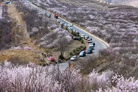 自驾赏山花，固原这几条公路是最佳选择！图片
