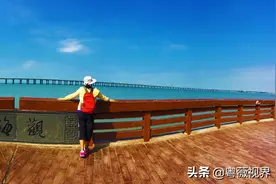 乘着深圳地铁去看海05 西湾红树林图片
