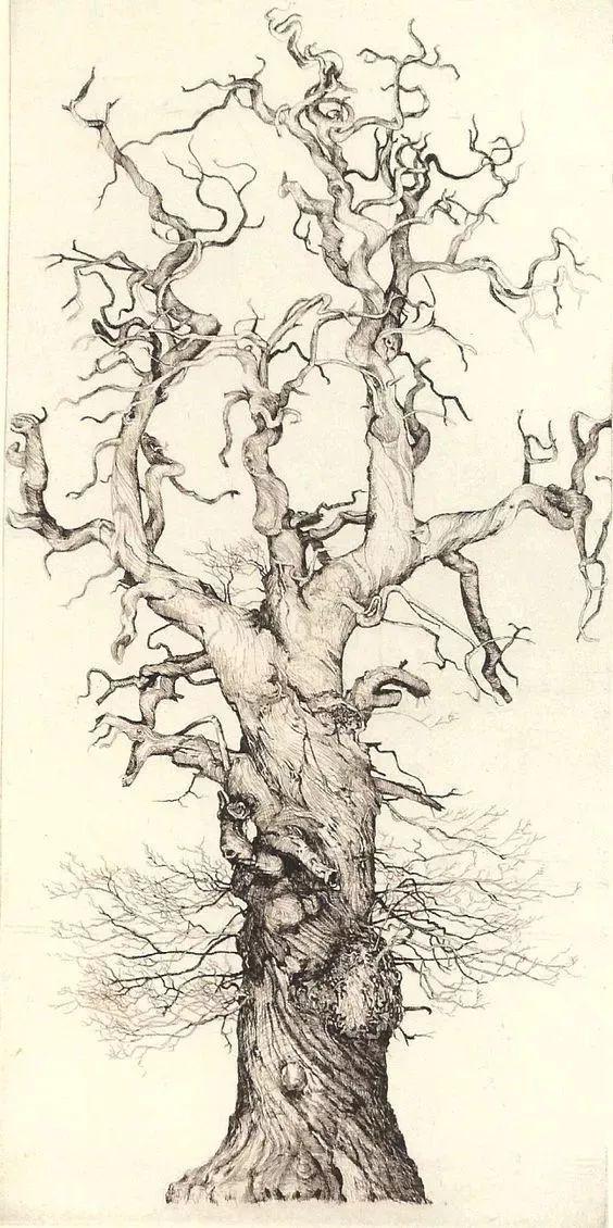 冬天画树正当时——素描大师笔下树