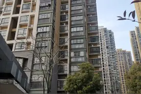 年轻妈妈带着两幼子24楼坠下，遗言称“想离开家，又离不开孩子”图片