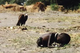 那张触动世界的“秃鹫和小女孩”，摄影师的结局比小女孩更悲剧图片