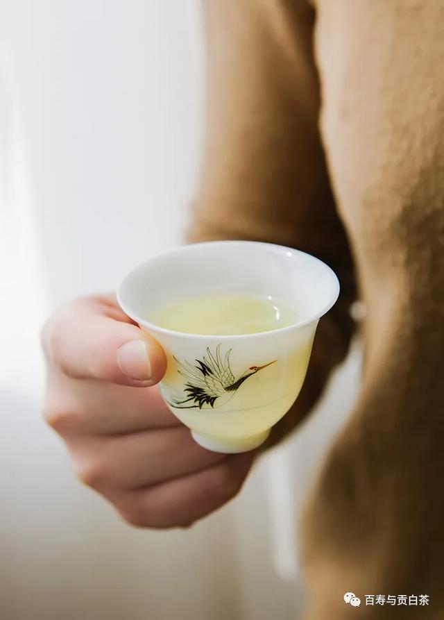 茶叶中的芳香物质，一万字详细讲解，带您走进茶香世界