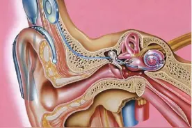 聋人也可以听见声音吗图片