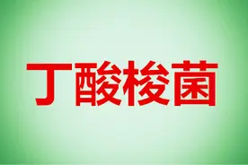丁酸梭菌特点，作用机理及丁酸梭菌在饲料添加剂中应用图片