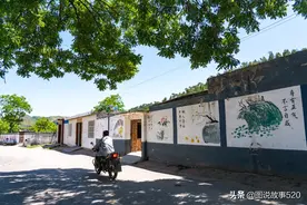 北方山村600年老树成精，自长“小板凳”，树身遮盖4户村民人家图片