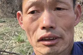 我们一起关注聋人的痛心生活图片