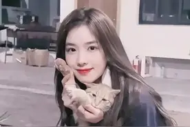 王思聪和女网红的瓜，根本不是一个笑话图片