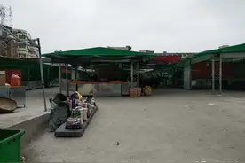 记者踏查跟踪：长春东大桥综合市场拆除后现在在干啥？图片