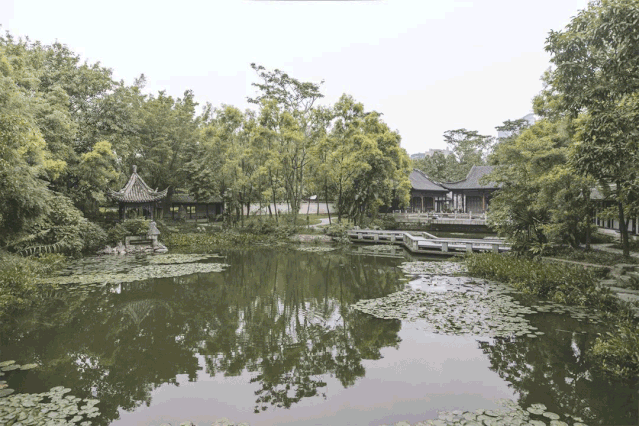 深圳旅游攻略(深圳一日游必去的地方)