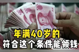 河北40/50领取政策图片