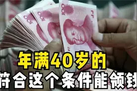 河北40/50领取政策图片