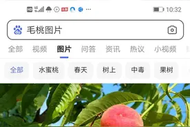 快乐的夏天图片