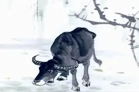 2021年是农历牛年，“牛马年，好种田”的说法真的靠谱吗？图片