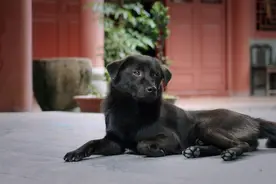 一个家庭的幸福，从好好说话开始，所有人都该看看图片