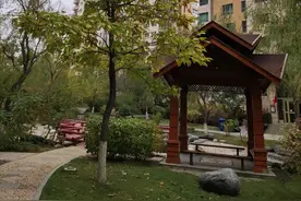 乌鲁木齐市区绿化最好小区竟然在这里！本土企业开发最美小区图片