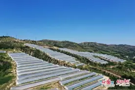 让世界倾听陕西声音 | 航拍延安：荒山变良田 蔬菜棚里说丰年图片